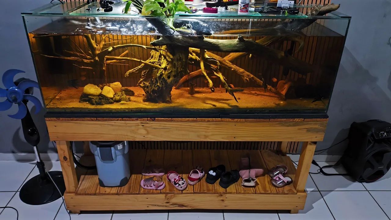 Aquário 300l  - Foto 2