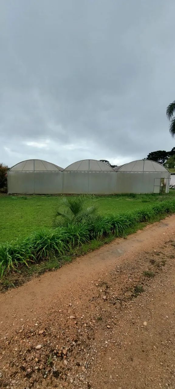 Estufa Agrícola 21x30 (630 m²). Altura livre sob arco 2,70m e vão de 3m. - Foto 6