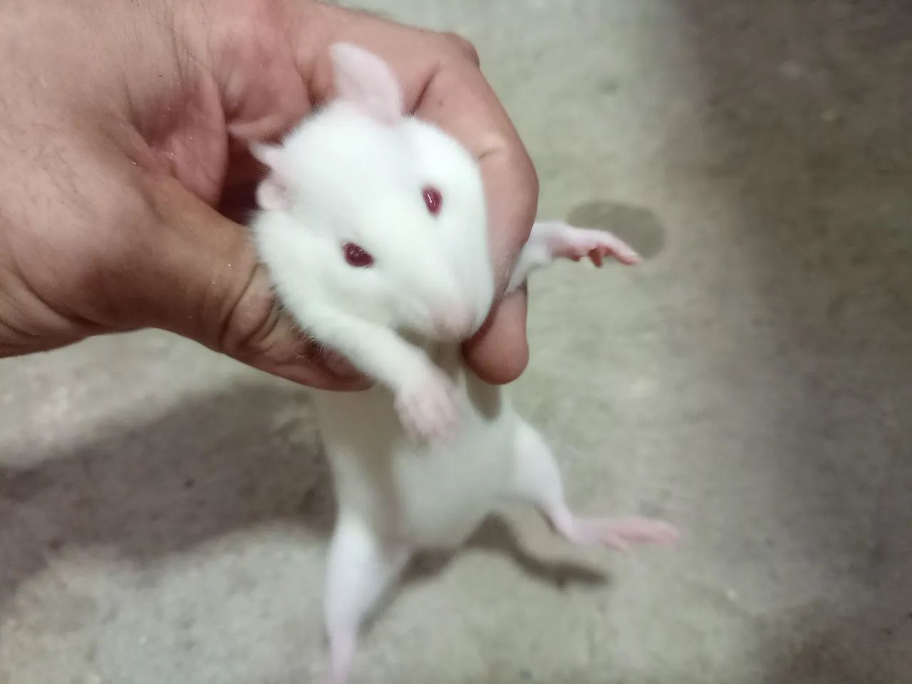 Female Twister63824580232833123