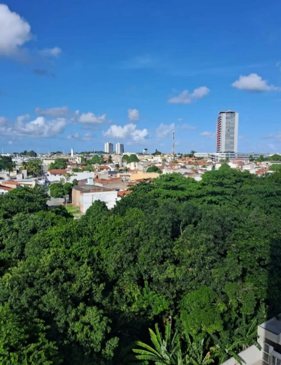 Alugo apt novo 2qts/suíte