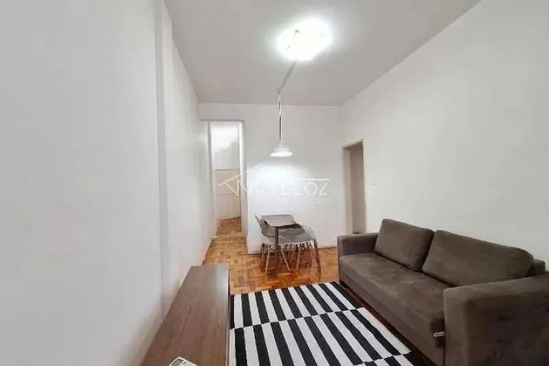 Apartamento : Padrão / Residencial / Botafogo