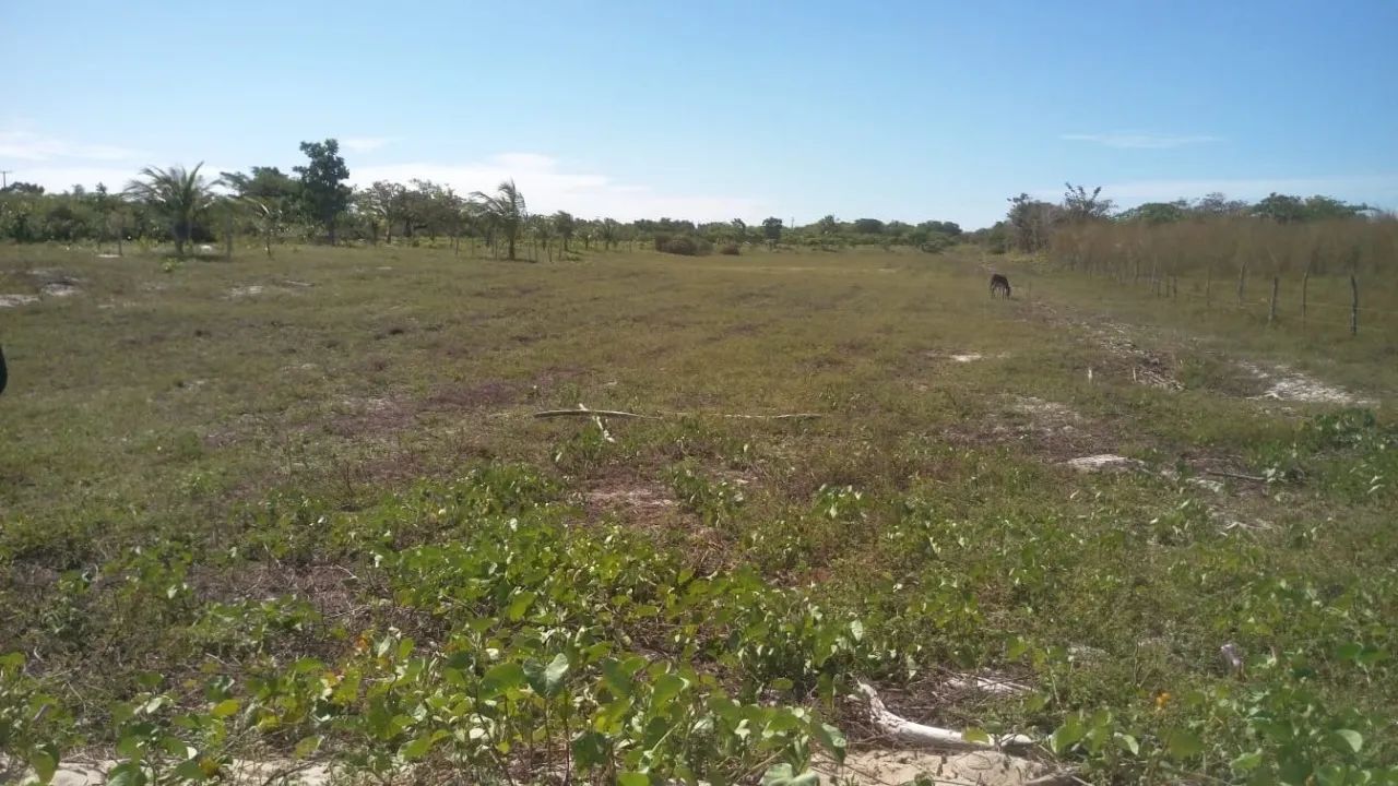 INVISTA EM JERICOACOARA E TRANSFORME TERRENO EM OPORTUNIDADE!