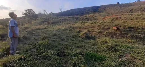 Não informado - Foto 2