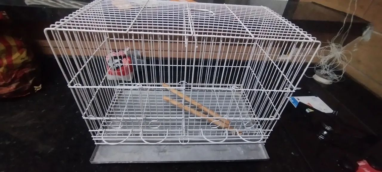 Gaiola criadora canário belga pintura epoxi - Foto 2