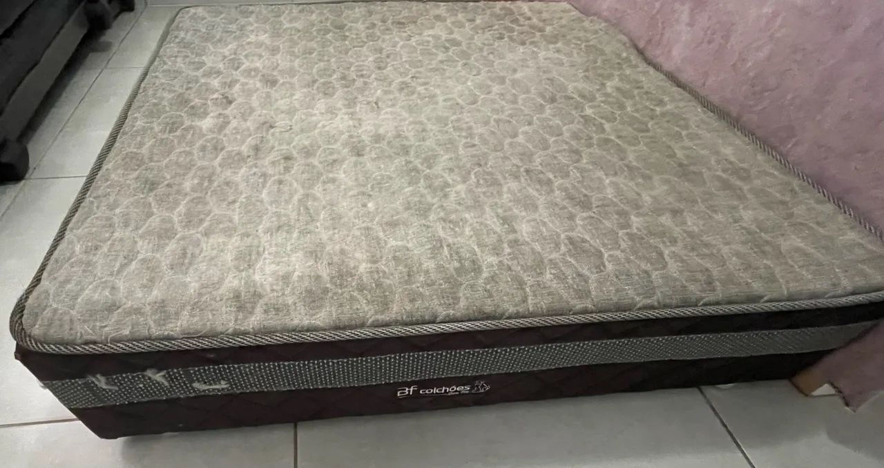 Cama box pet424794784908584962