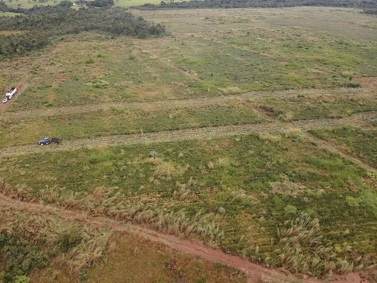 Fazenda - Foto 4