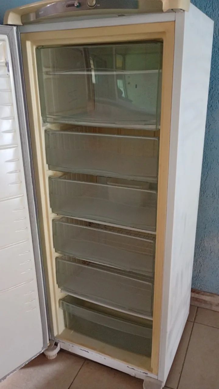 Freezer vertical