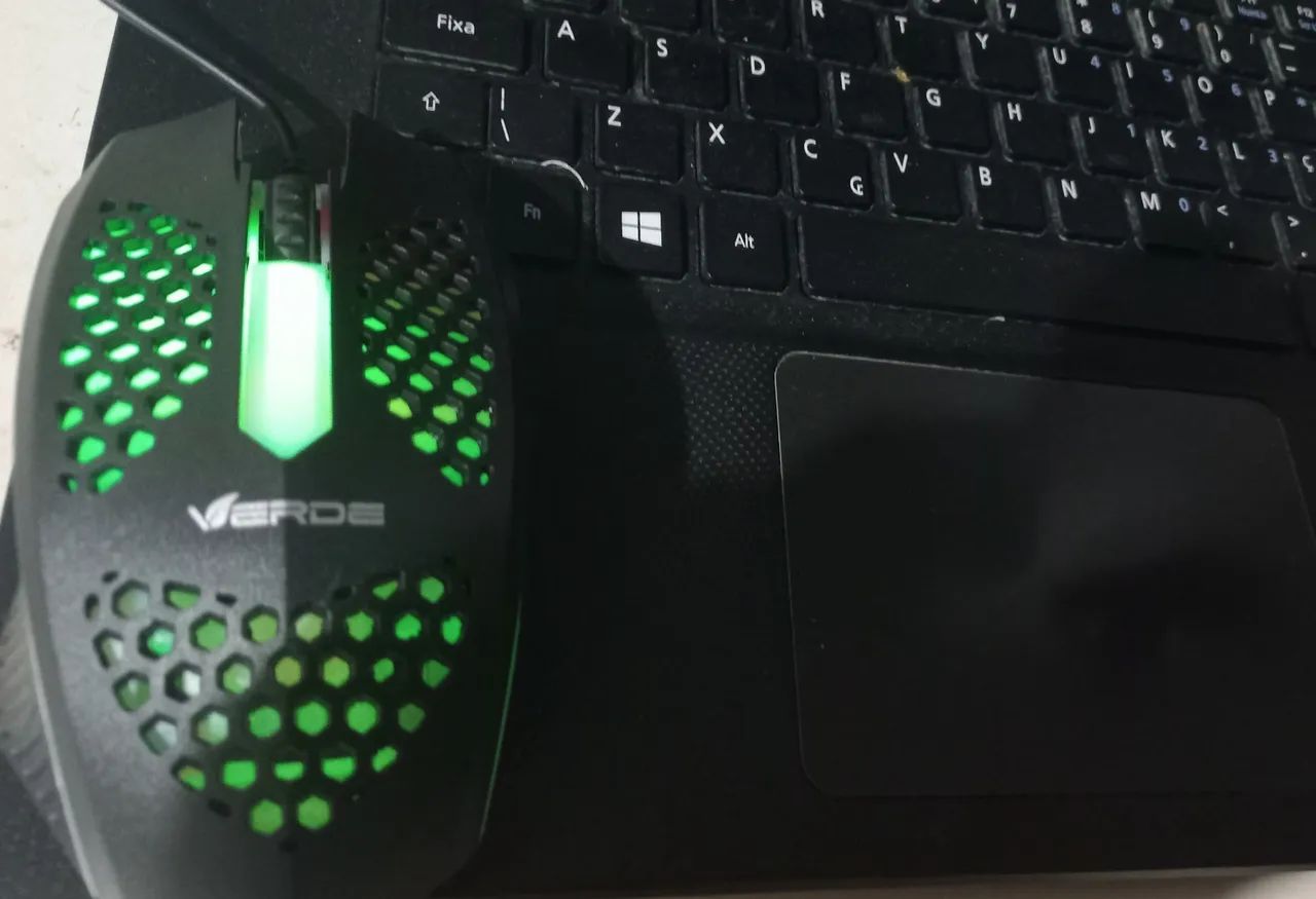 New Mouse422991578279464963