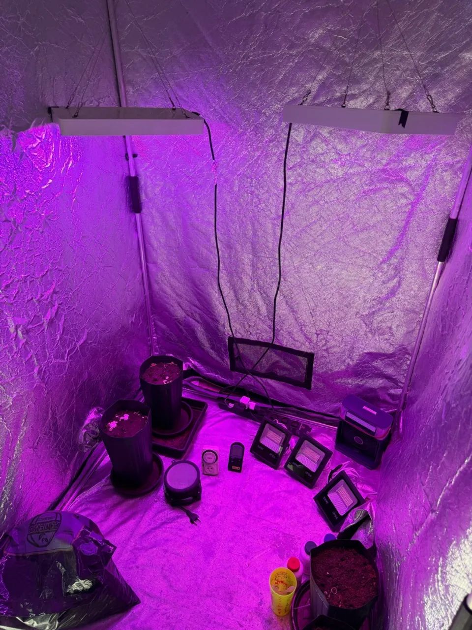 Grow Estufa  - Foto 5