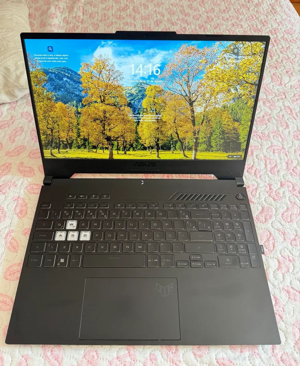 Asus TUF F15 (2025)  - Foto 2