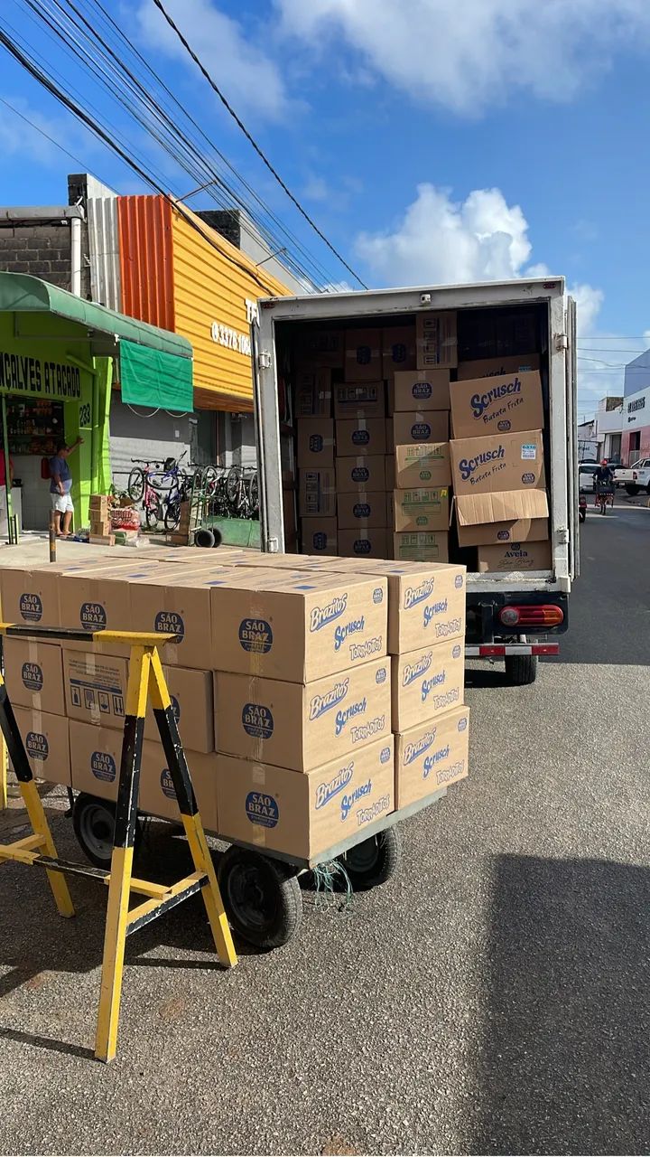 FRETE E PEQUENAS MUDANÇAS - Foto 4