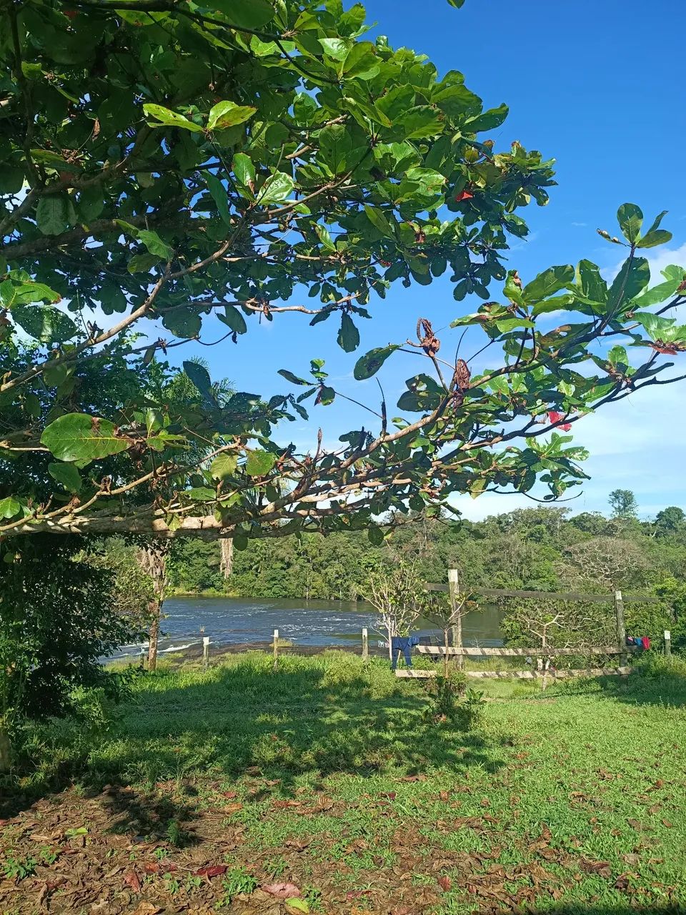 Fazenda com moradia  - Foto 3