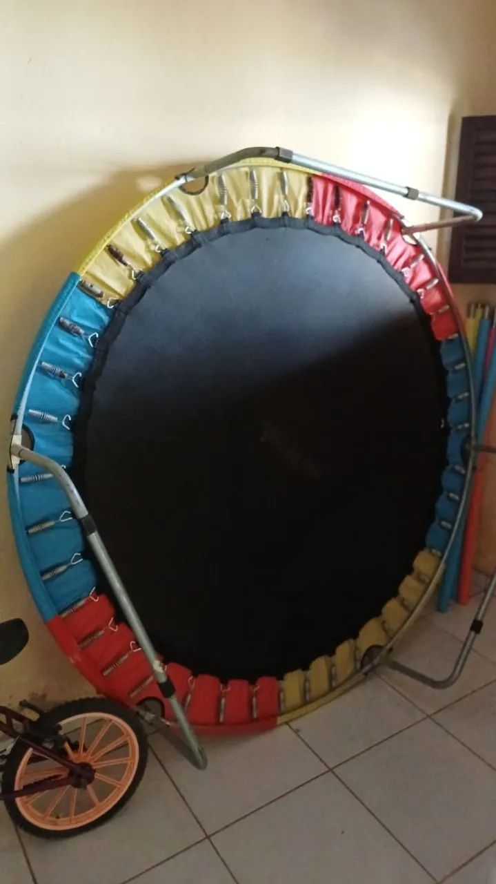 Pula Pula 120kg 1.000,00 - Foto 5