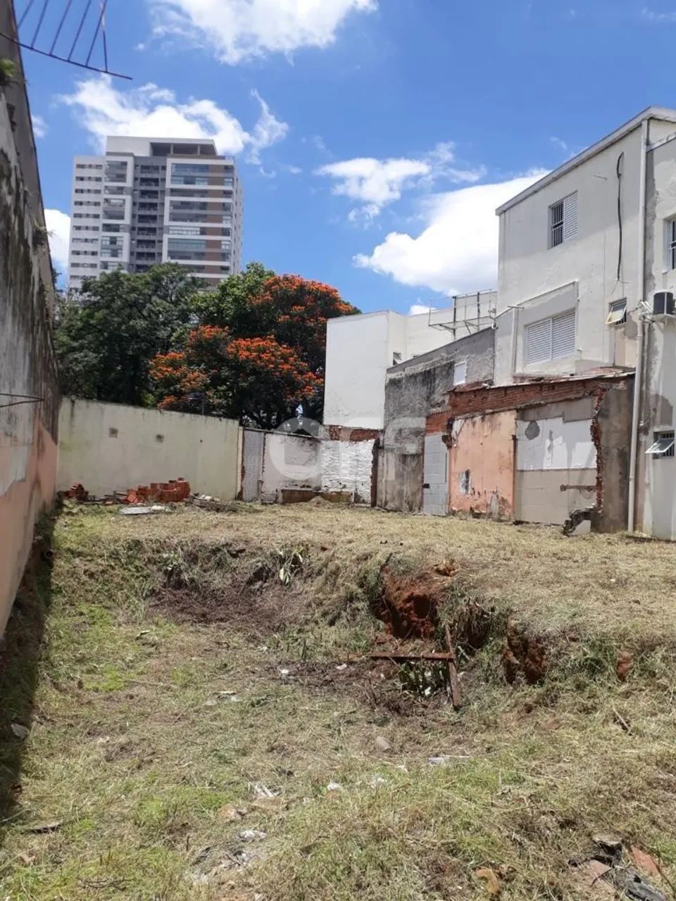 terreno - Taquaral - Campinas - Foto 5