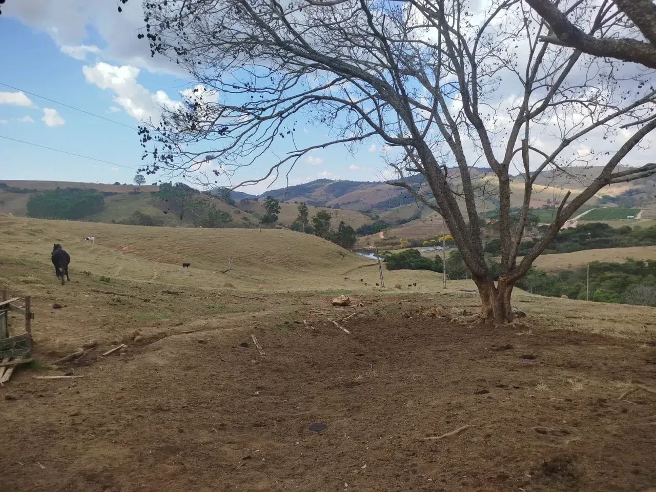 Fazenda em Oliveira /MG 65 hectares café E PLANTAÇOES DIVERSAS,, PODENDO USAR AGUA POR GRA - Foto 14