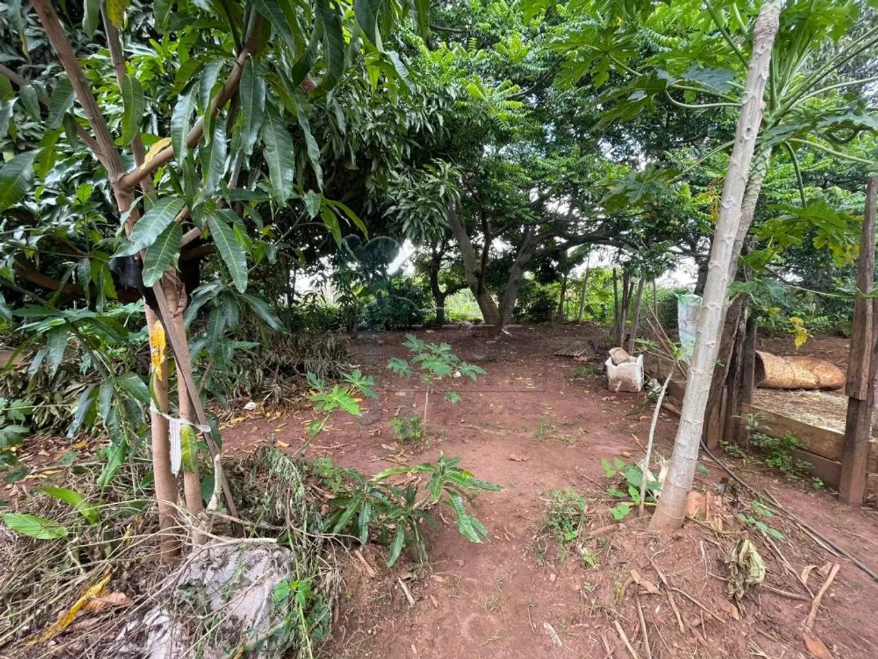 Chácara de 240m² para venda - BRODOWSKI - Foto 5