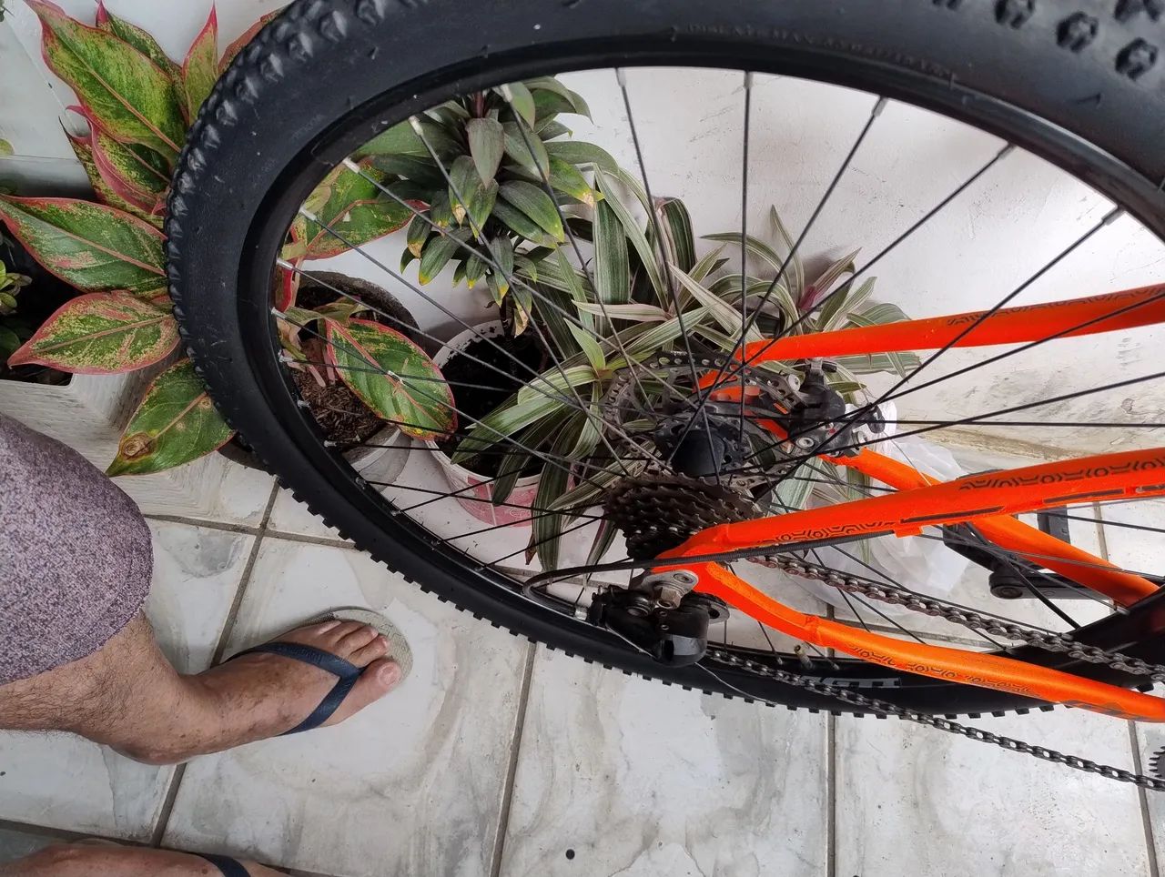 Bicicleta  - Foto 5