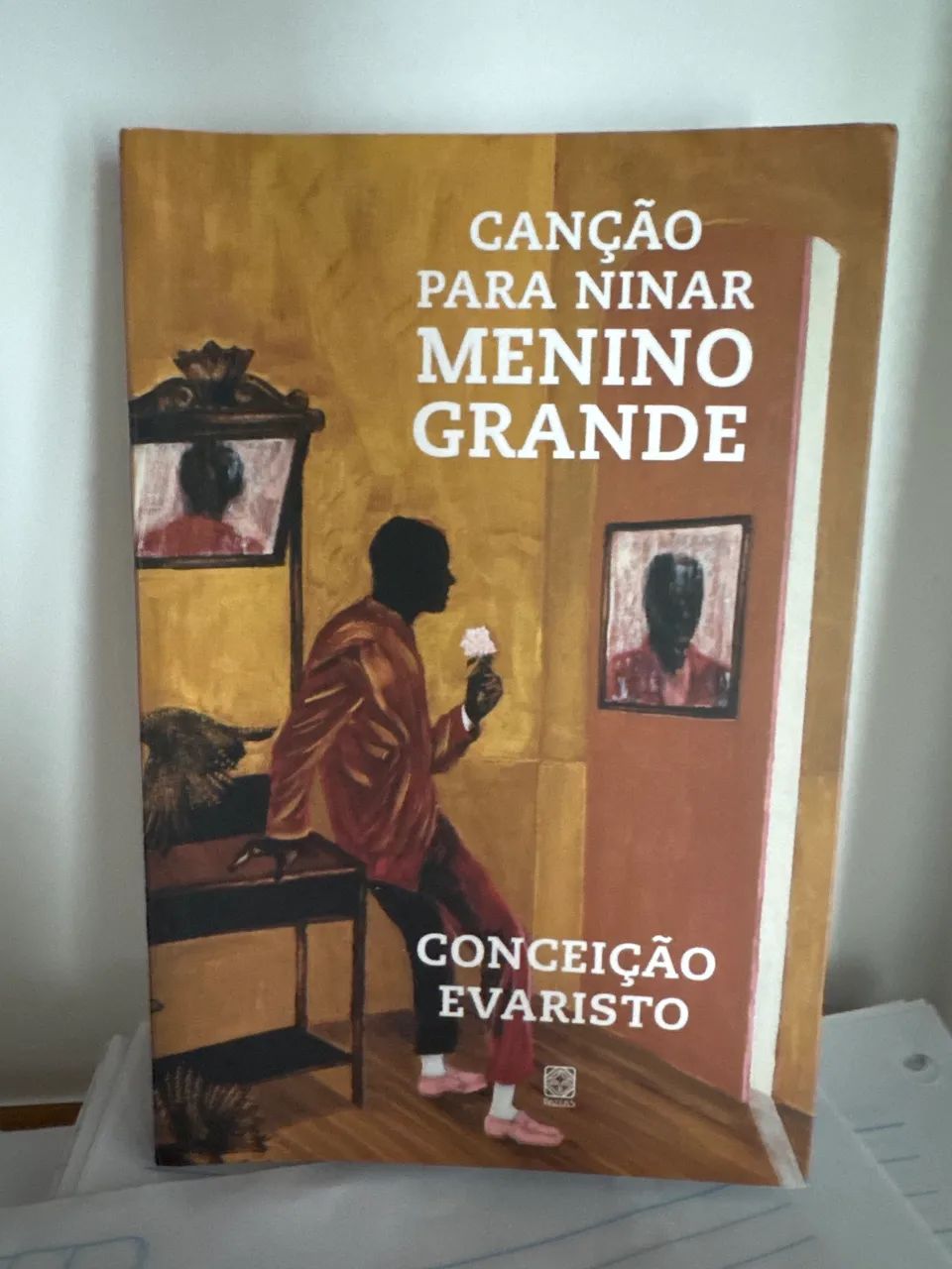 Livro canção para ninar menino grande 