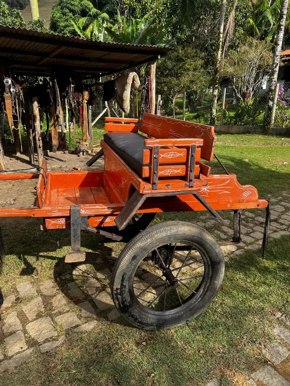 Charrete é Burro VENDO - Foto 4