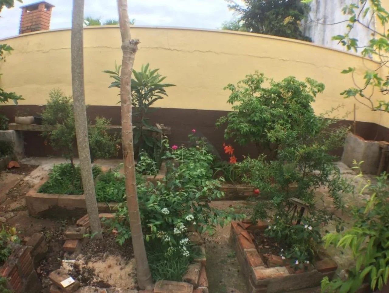 casa - Jardim Chapadão - Campinas
