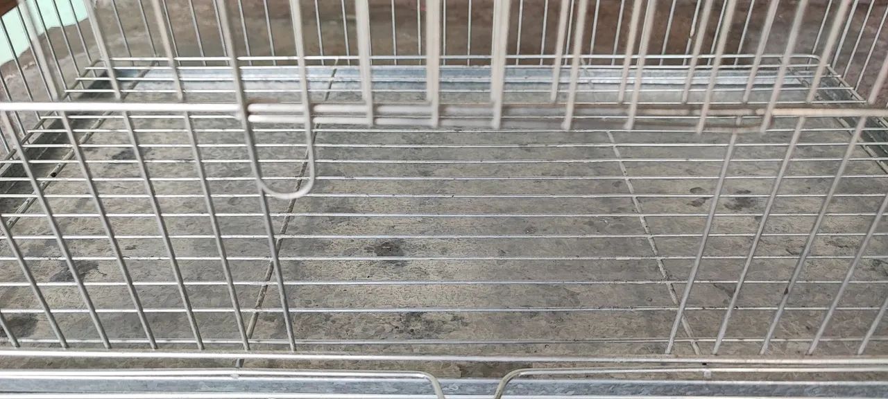 Gaiola Nova. - Foto 2