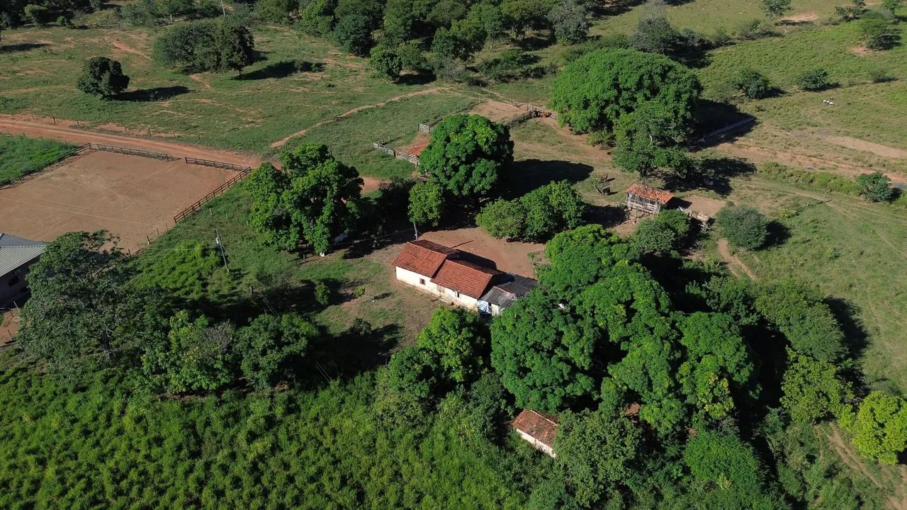 Fazenda buritis rio Pernambuco  - Foto 3