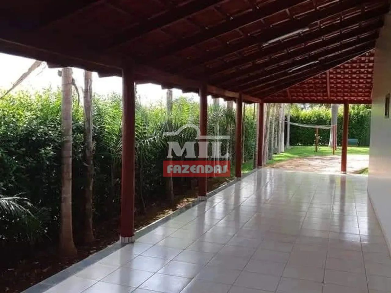Chácara 2.000 m² Nova Veneza - GO - Foto 3