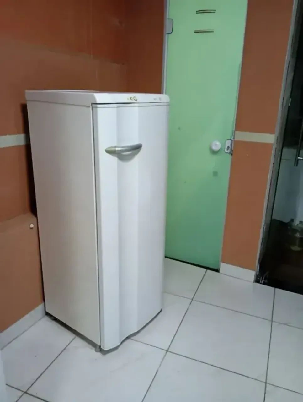 VENDE-SE GELADEIRA ELECTROLUX - Foto 2