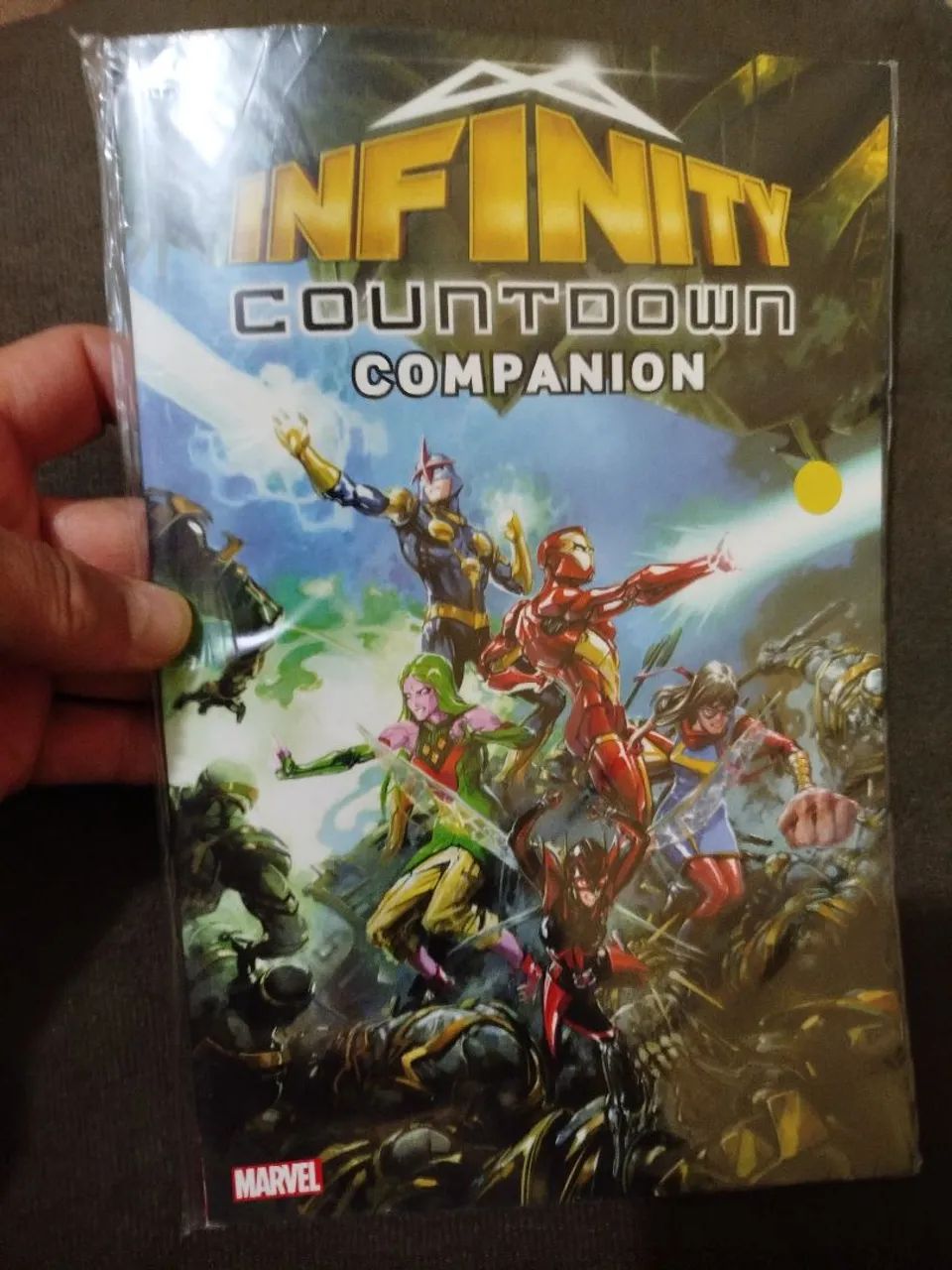 Infinity Countdown Companion 