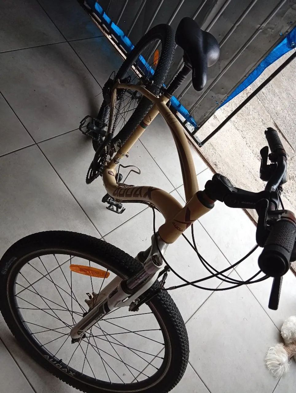 Bicicleta audax  - Foto 2