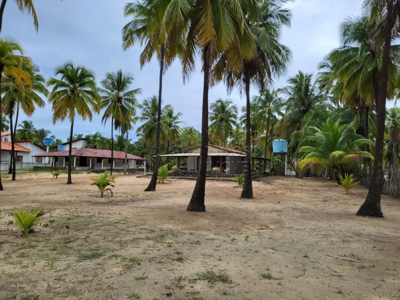 Sítio à Beira-Mar com 5,01 hectare à venda em Coruripe - Foto 4