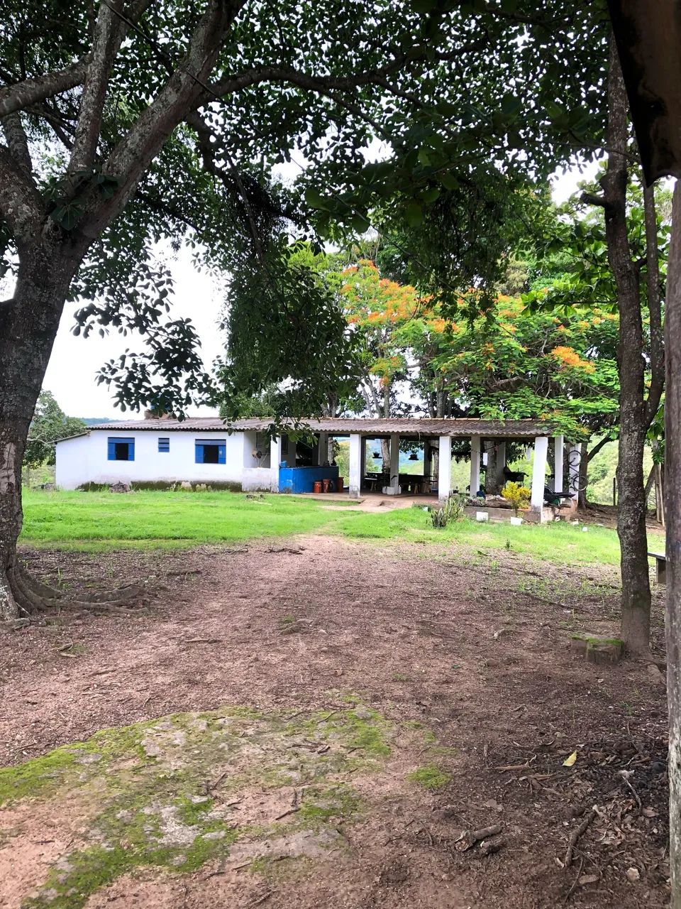 Fazenda em Hidrolândia  - Foto 5