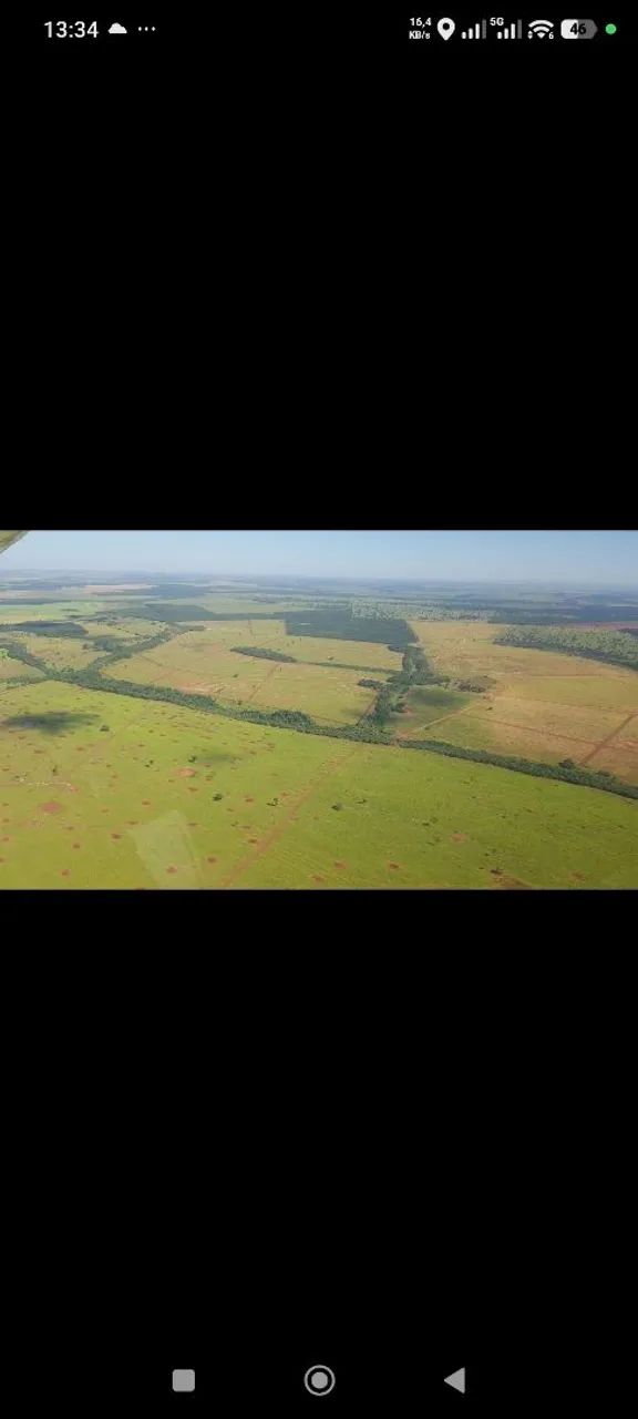 Fazenda de arrendamento 1.000 hec Nova Alvorada MS.  - Foto 4