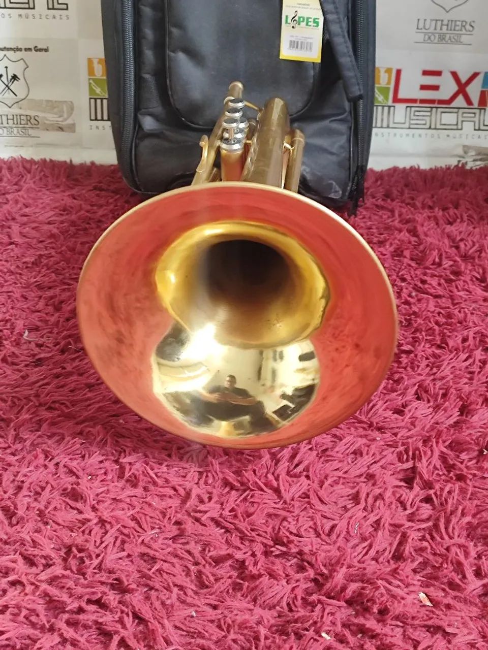 Trombonito BM - Foto 3