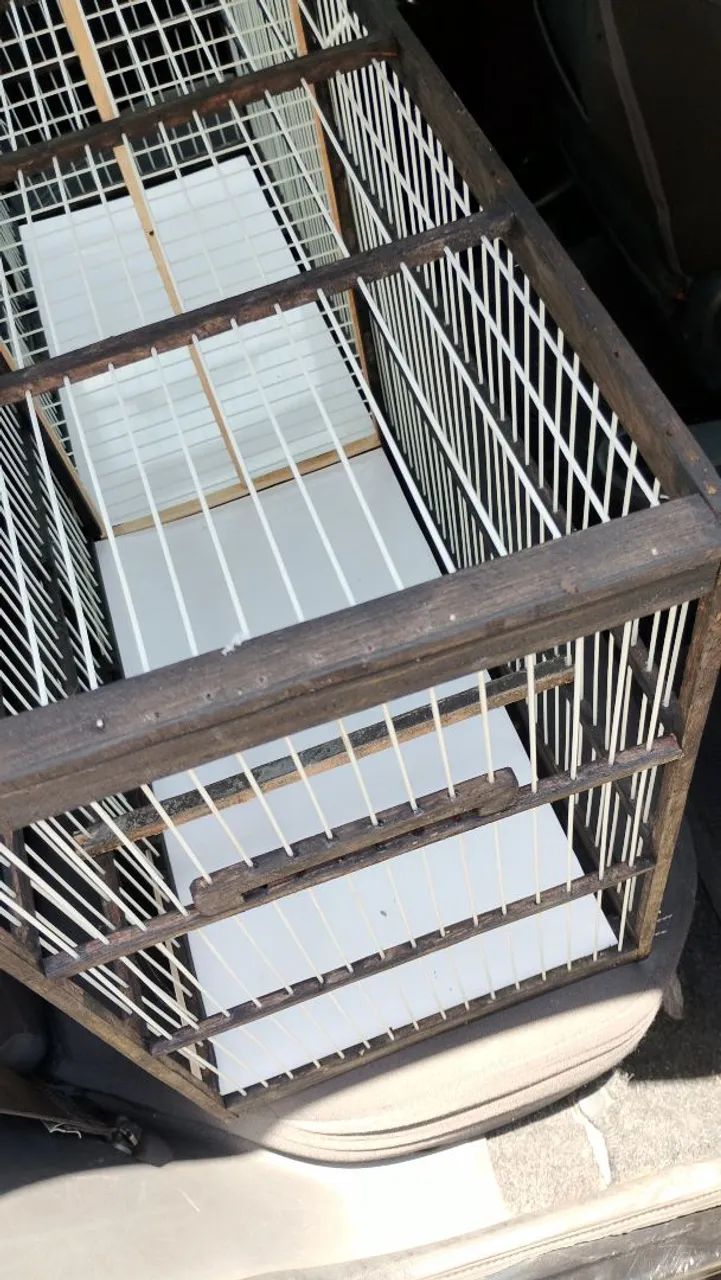 Voador trinca ferro 1.17cm