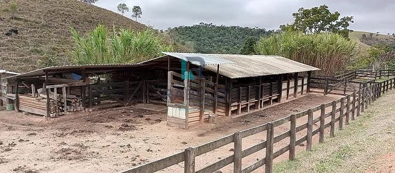 SÍTIO FORMADO COM ESTRUTURA PARA LEITE E CORTE EM LORENA-SP - Foto 3
