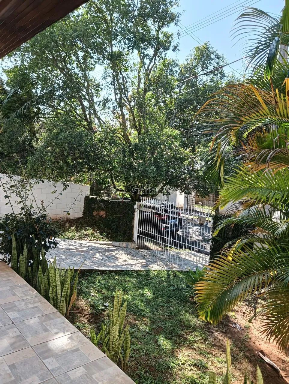 casa - Chácara São Rafael - Campinas - Foto 3