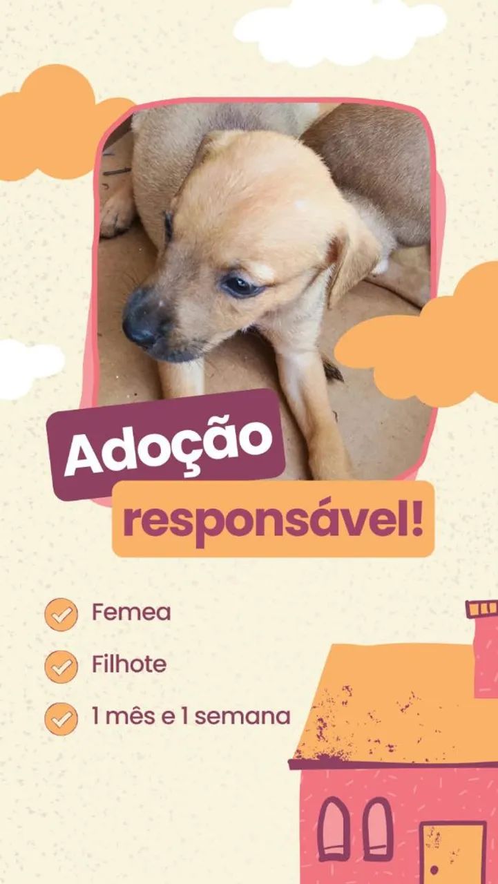 Doação de Filhotes  - Foto 5