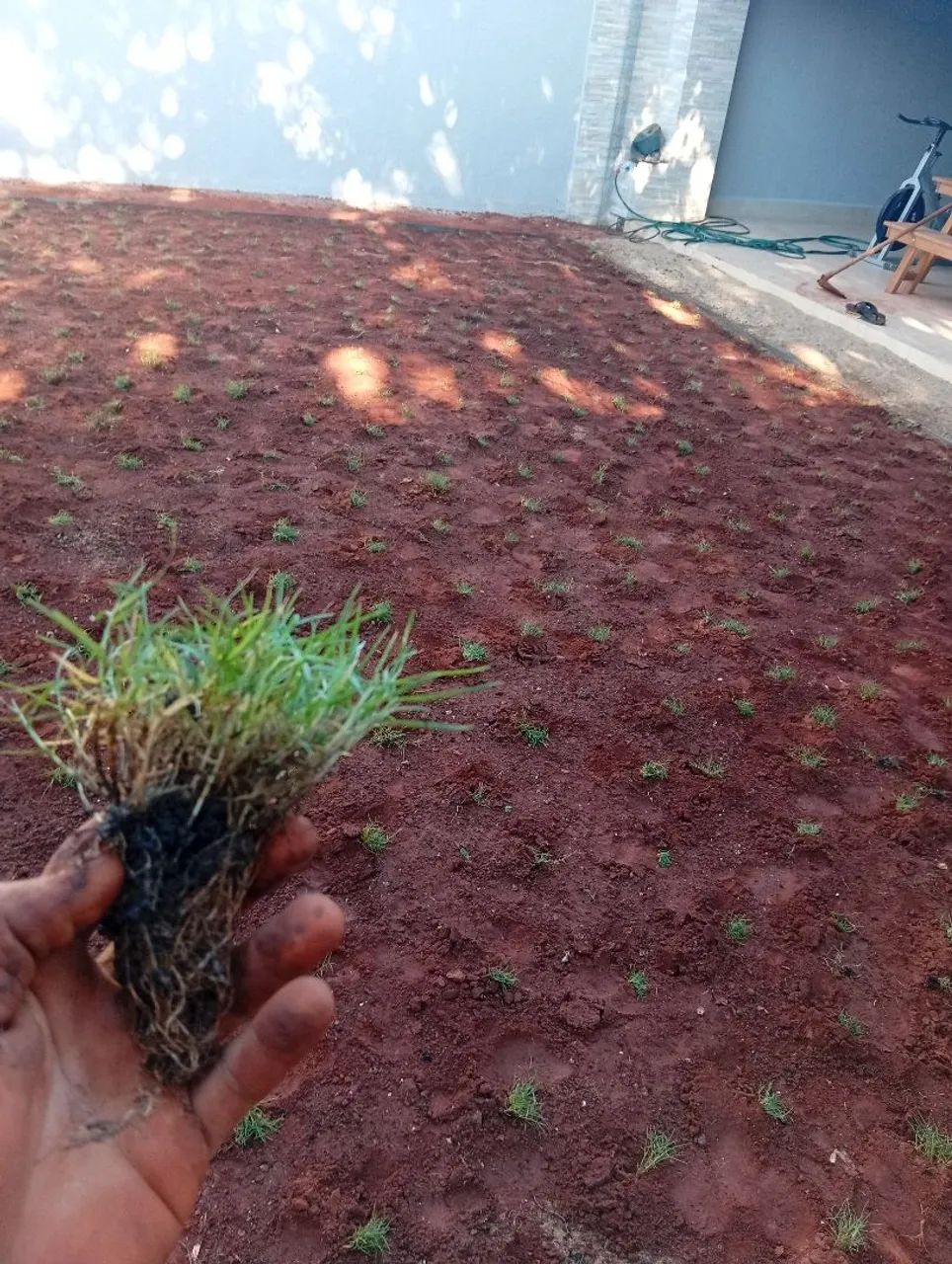 Grama em mudas com preço justo!!