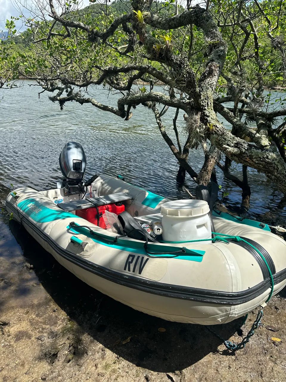 BOTE COM MOTOR 15hp 39horas - Foto 2