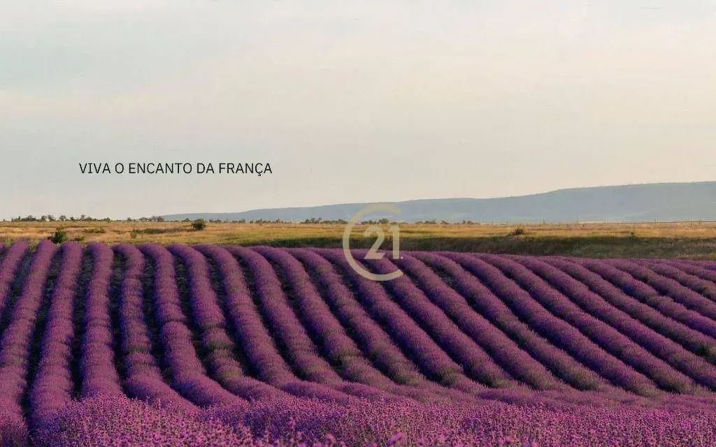 Lançamento Ville de Provence em Indaiatuba/SP - Foto 3
