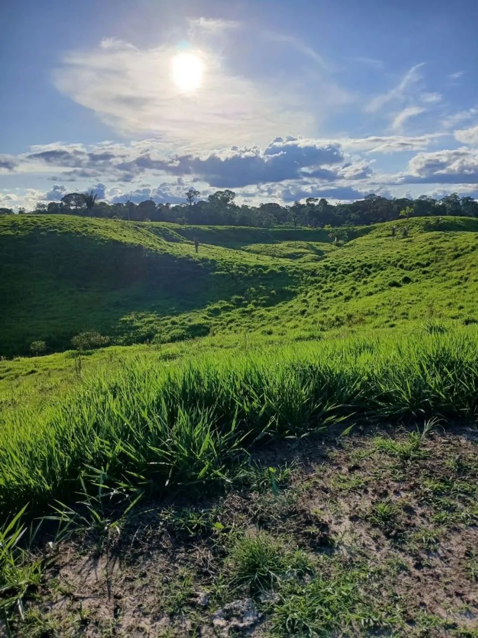 DOIS LOTES À VENDA EM FEIJÓ  - Foto 3