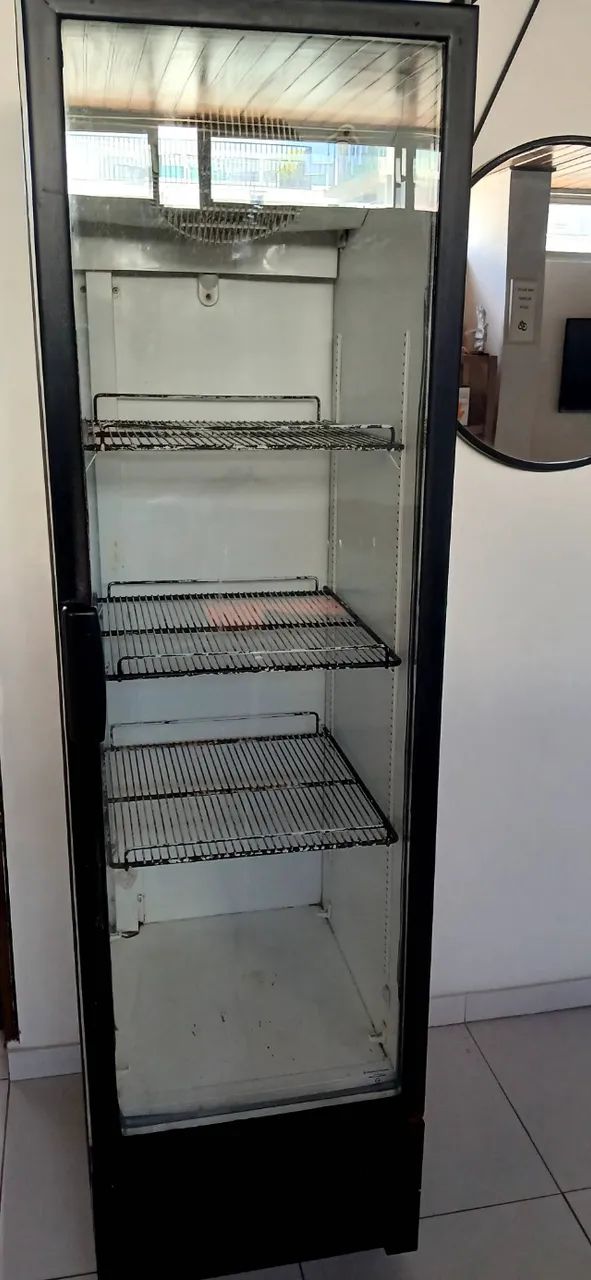 Geladeira Expositora 110V