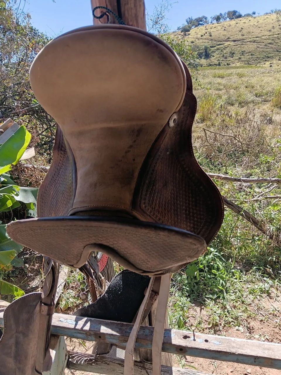 Sela de cabeça cotações  - Foto 2
