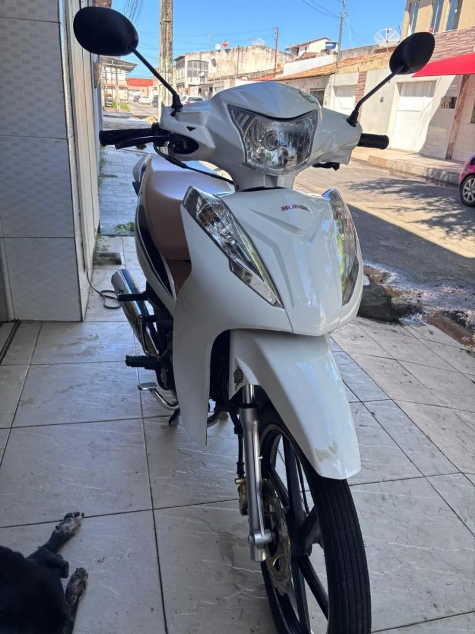 ray 2023 - Foto 4