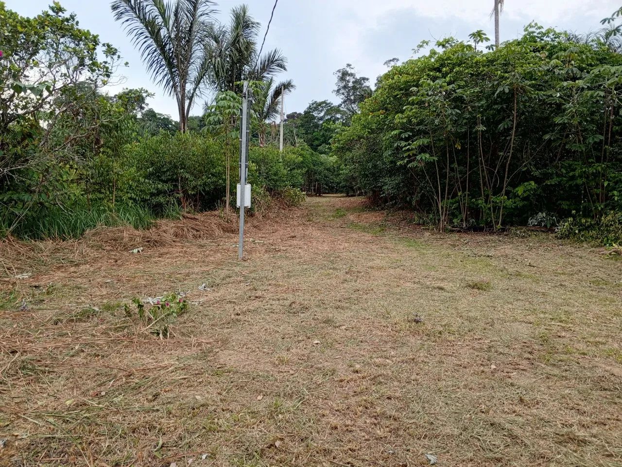 Vendo Ótima Chácara  - Foto 3