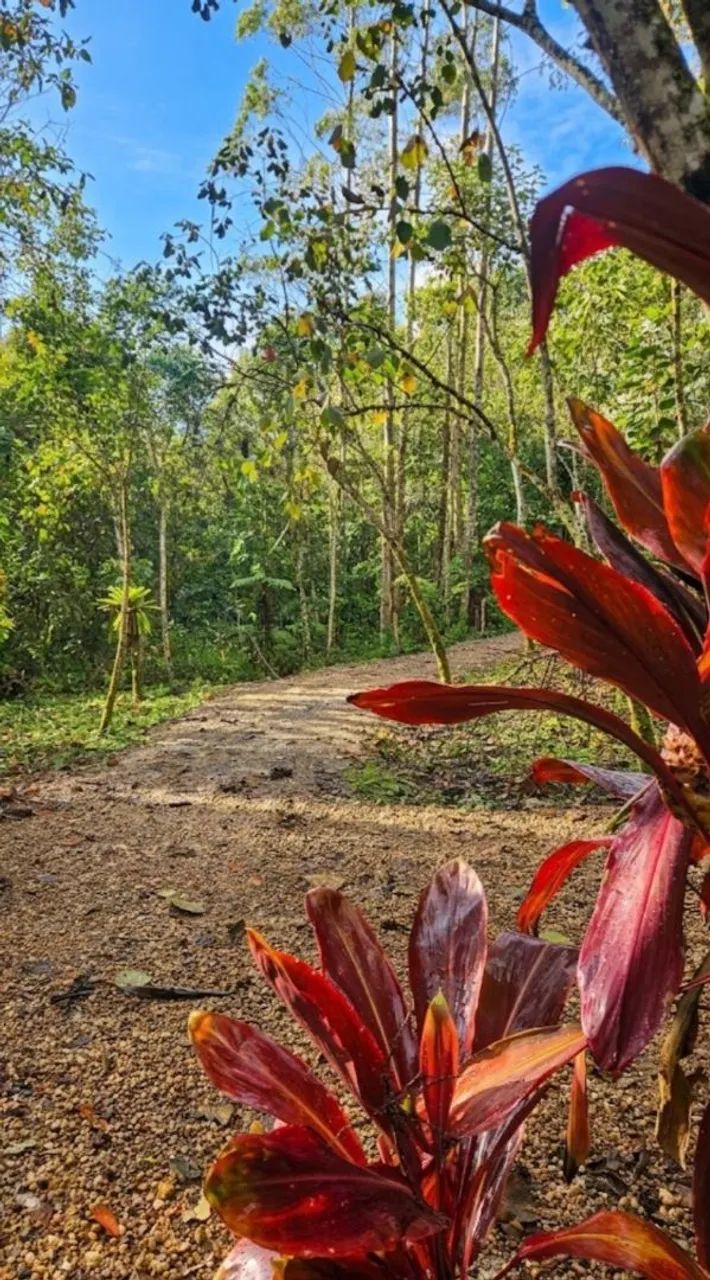 Rancho do Príncipe  - Foto 3