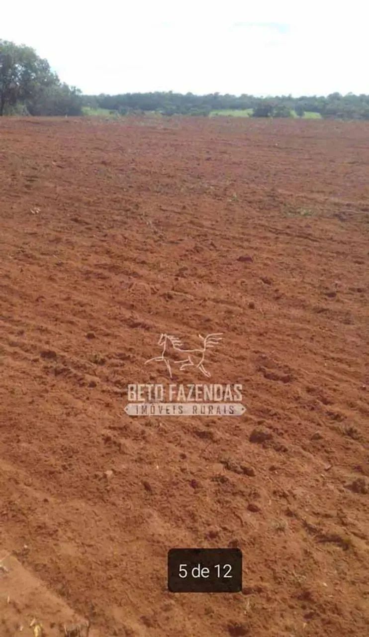 Imóvel para venda possui  metros quadrados em Zona Rural - Novo São Joaquim - MT - Foto 3