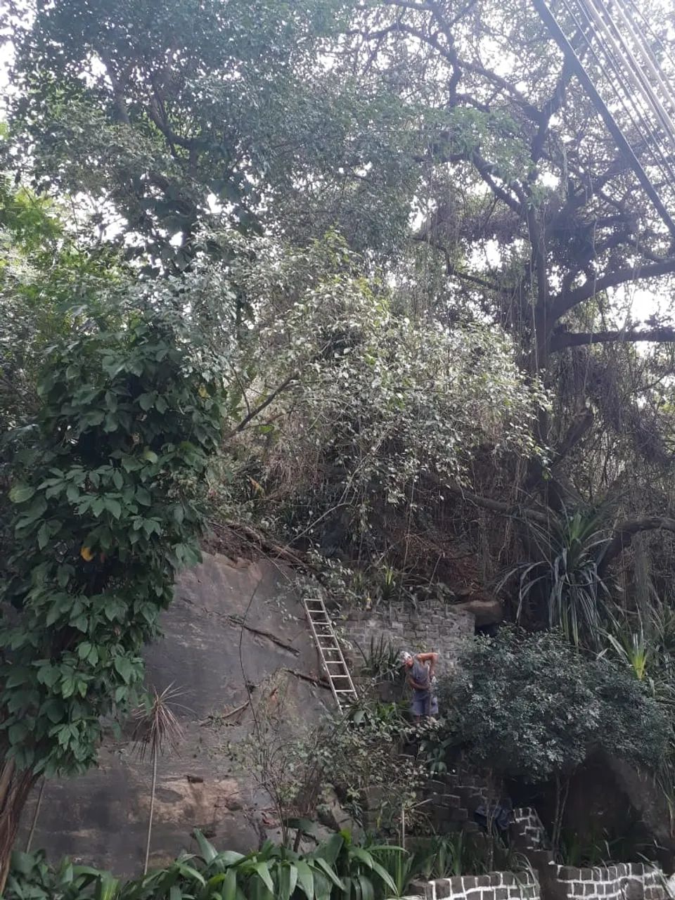 Lote 13 e 14/Terreno para venda com 1500 metros quadrados em Santa Teresa - Rio de Janeiro - Foto 4