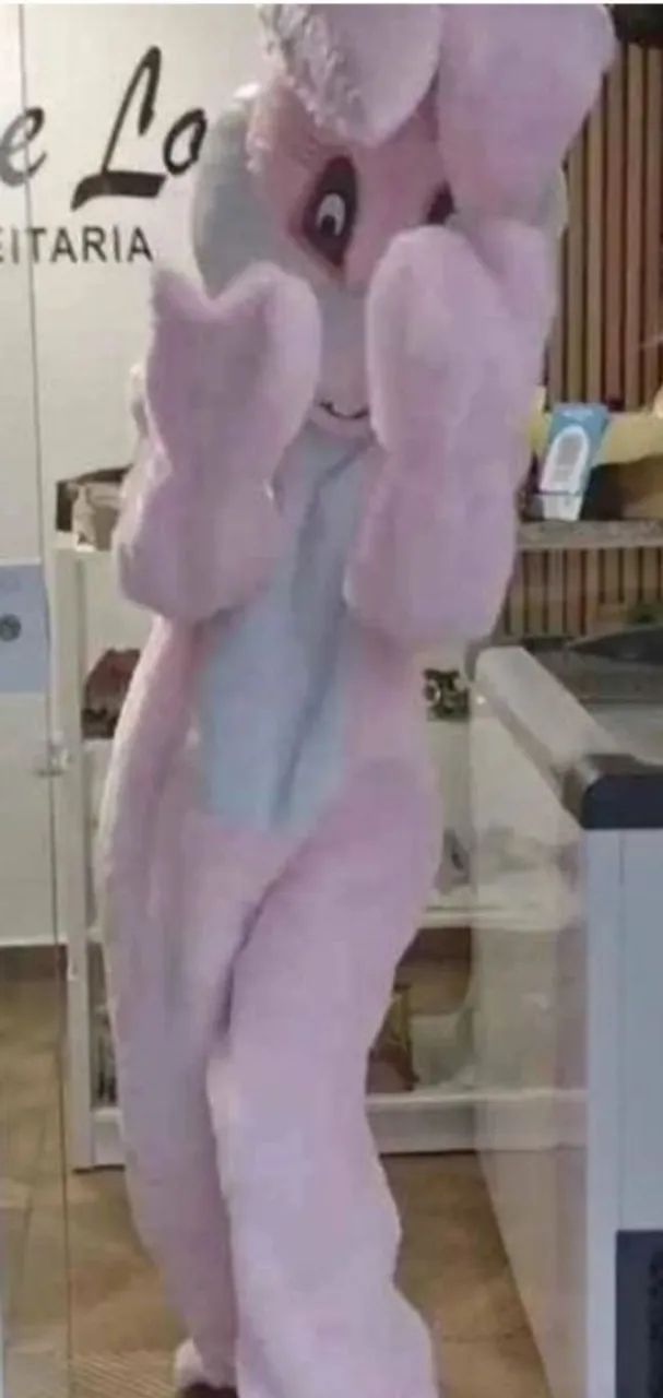 Cabeção Coelha Rosa 